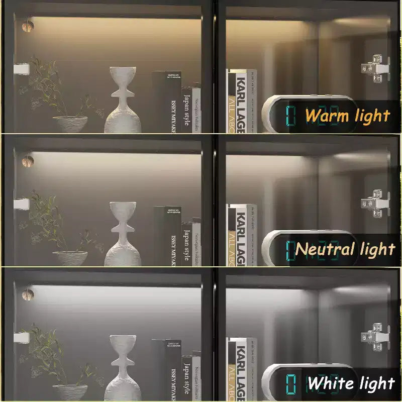 Vitrine Meuble de Rangement Multiusage Bibliothèque avec Portes en Verre et Étagères Buffet Lumière LED
